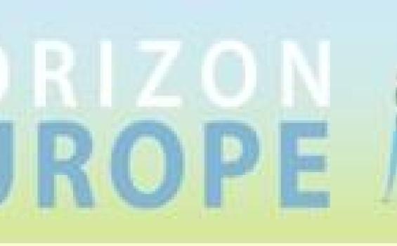 Webinario: “Cómo preparar el presupuesto de una propuesta de infraestructuras de investigación de Horizonte Europa”