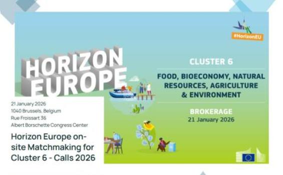 Horizon Europe on-site Matchmaking Event for cluster 6-Calls 2026